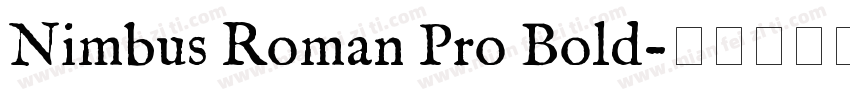 Nimbus Roman Pro Bold字体转换